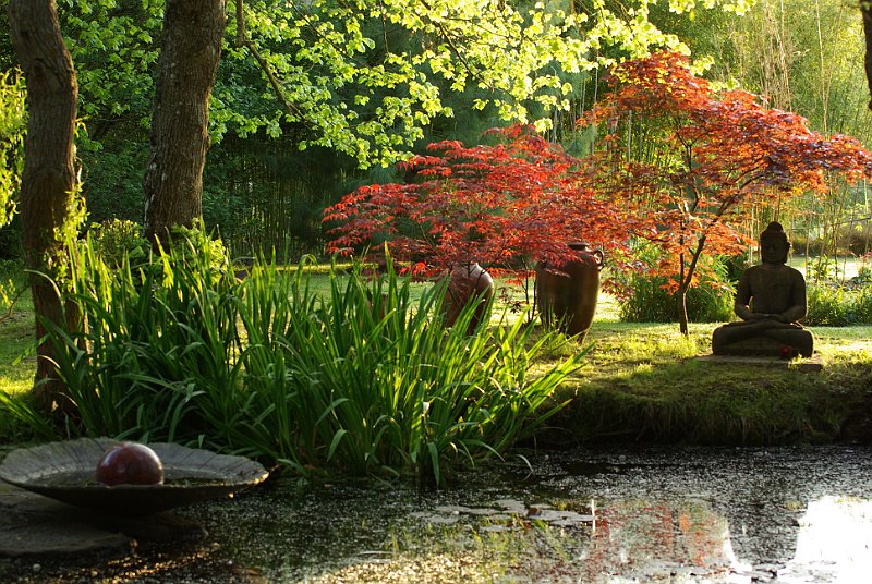 notre mare en avril avec des erables du Japon